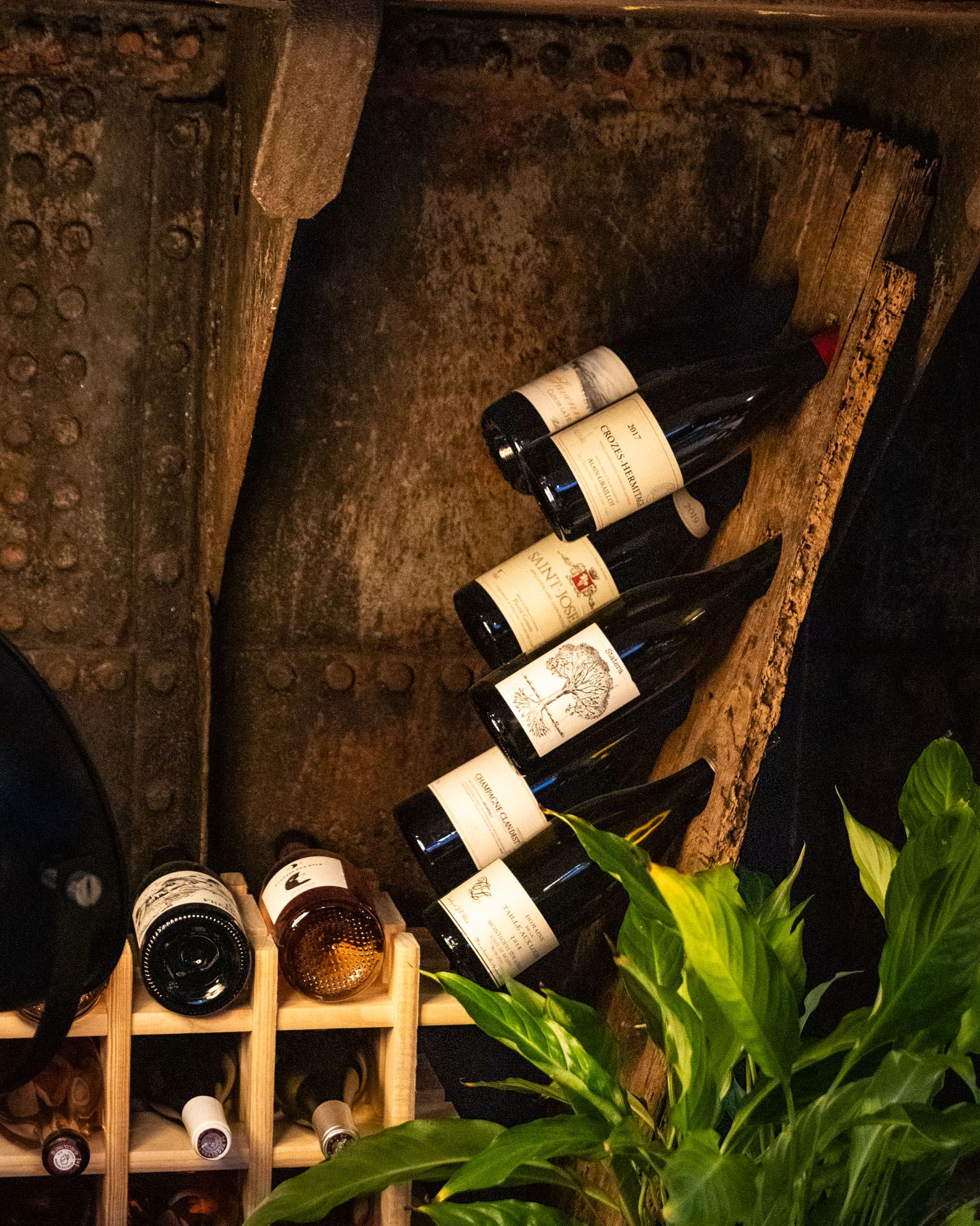 sélection de vins rouge - bar à vin - Barco Vino