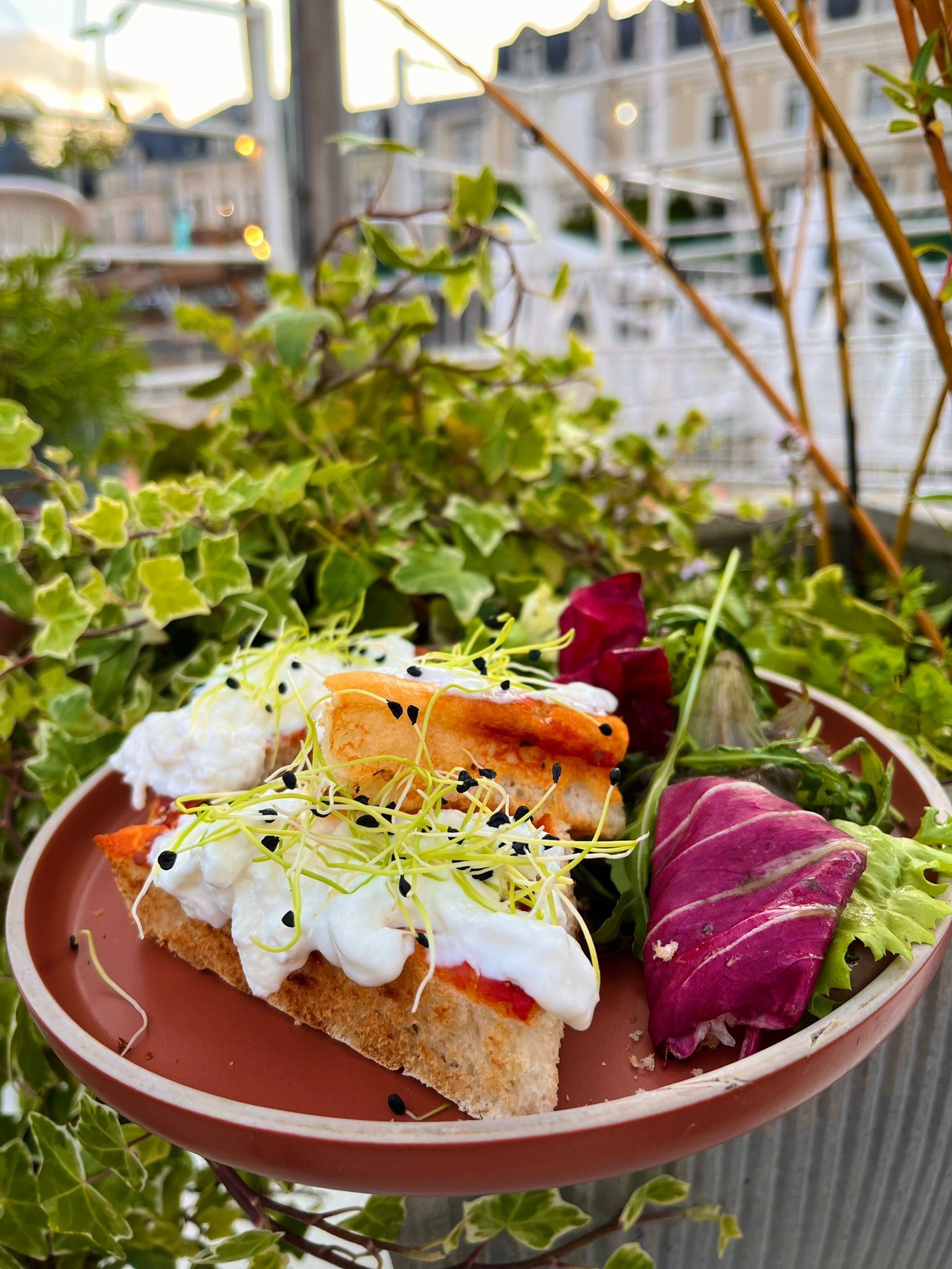 Crémeux de Burrata Stacciatela barco vino bar à vin péniche